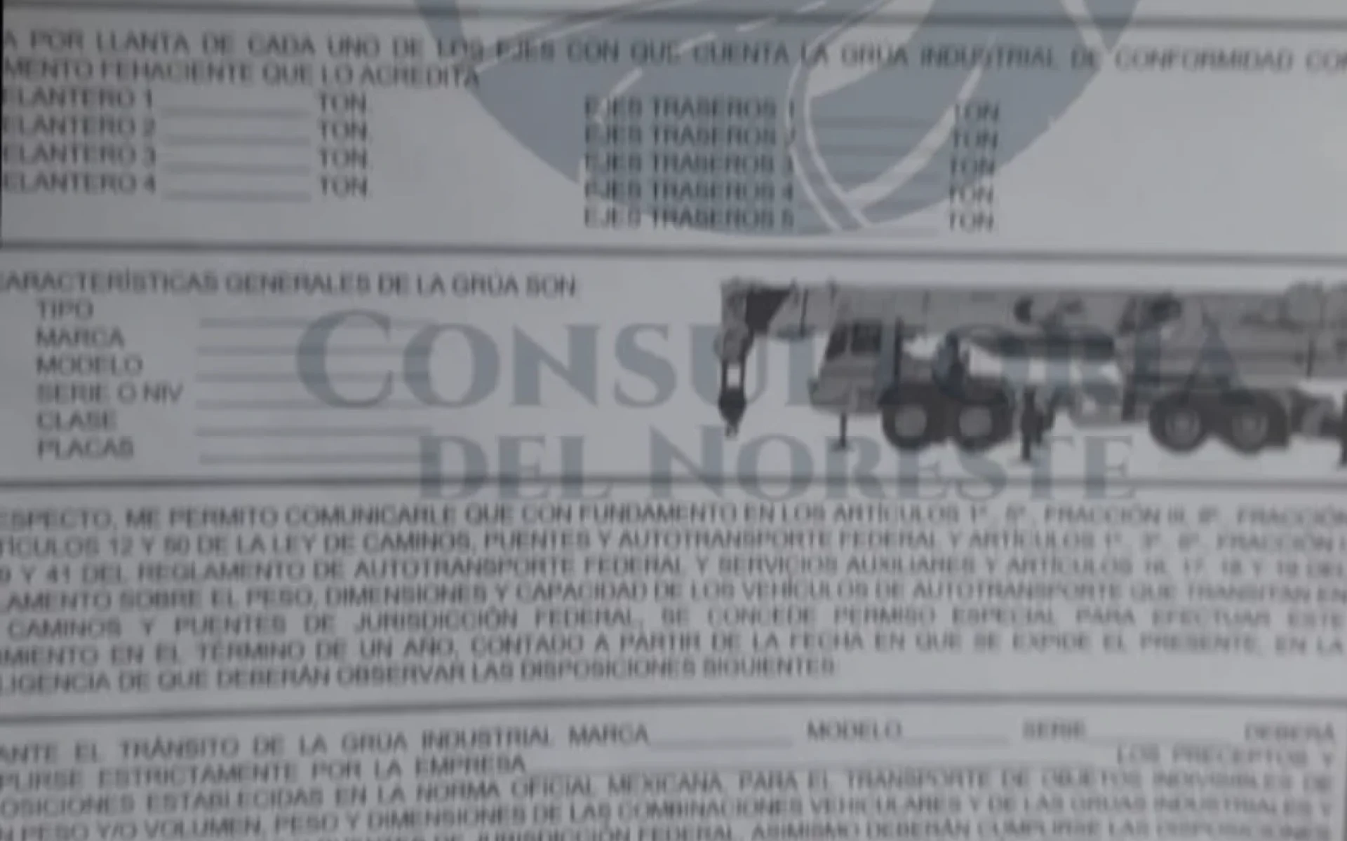 PERMISO DE GRUA INDUSTRIAL